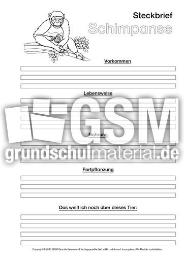 Schimpanse-Steckbriefvorlage-sw-2.pdf